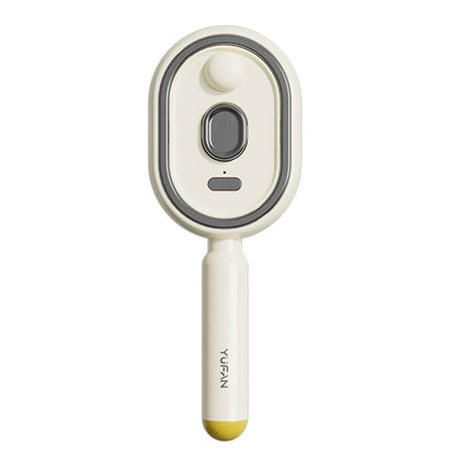 Brosse vapeur électrique avec brumisateur