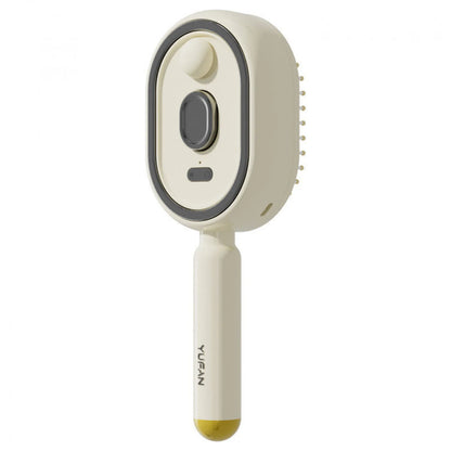 Brosse vapeur électrique avec brumisateur