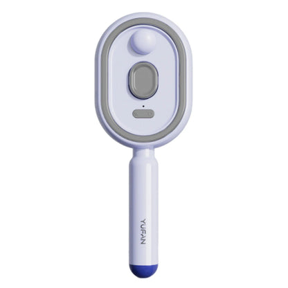 Brosse vapeur électrique avec brumisateur