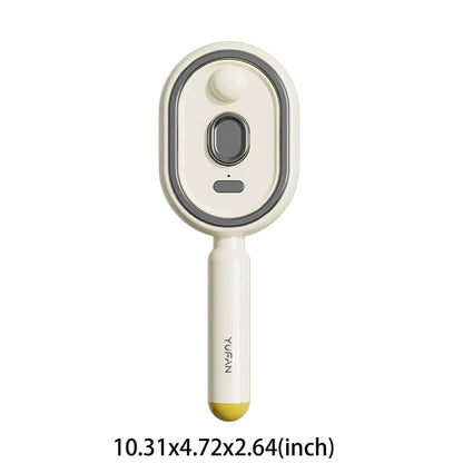 Brosse vapeur électrique avec brumisateur
